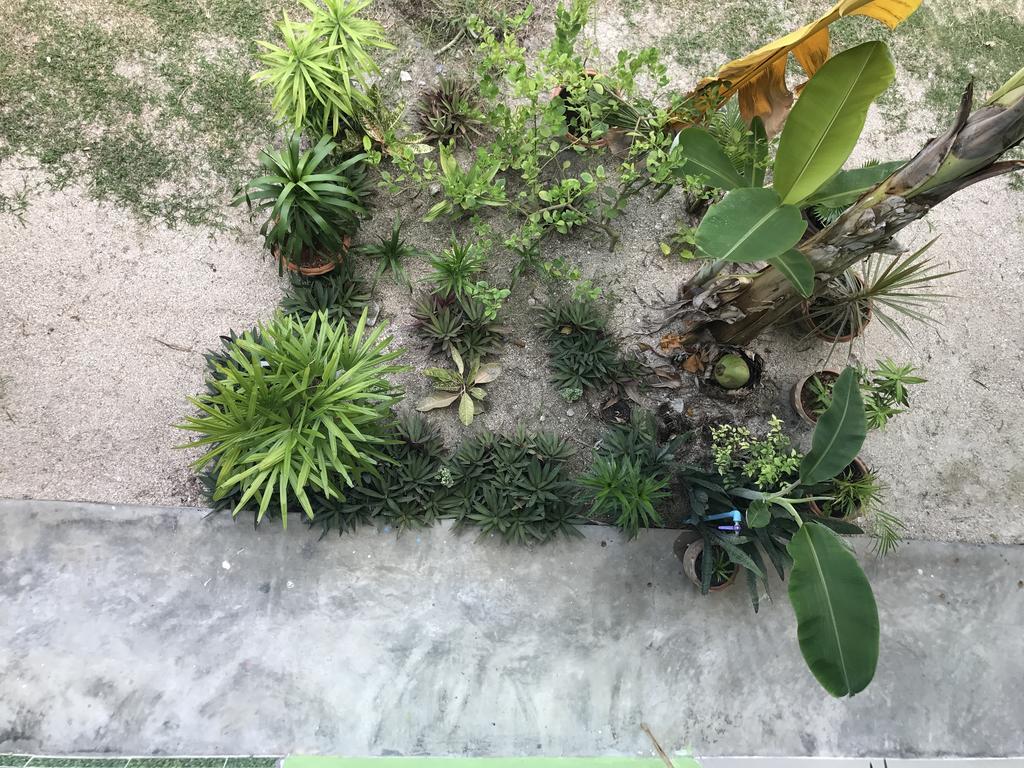 No Name Bungalow 哈德姚 外观 照片